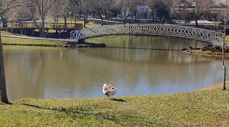 Trilha do Lago Pinhalzinho