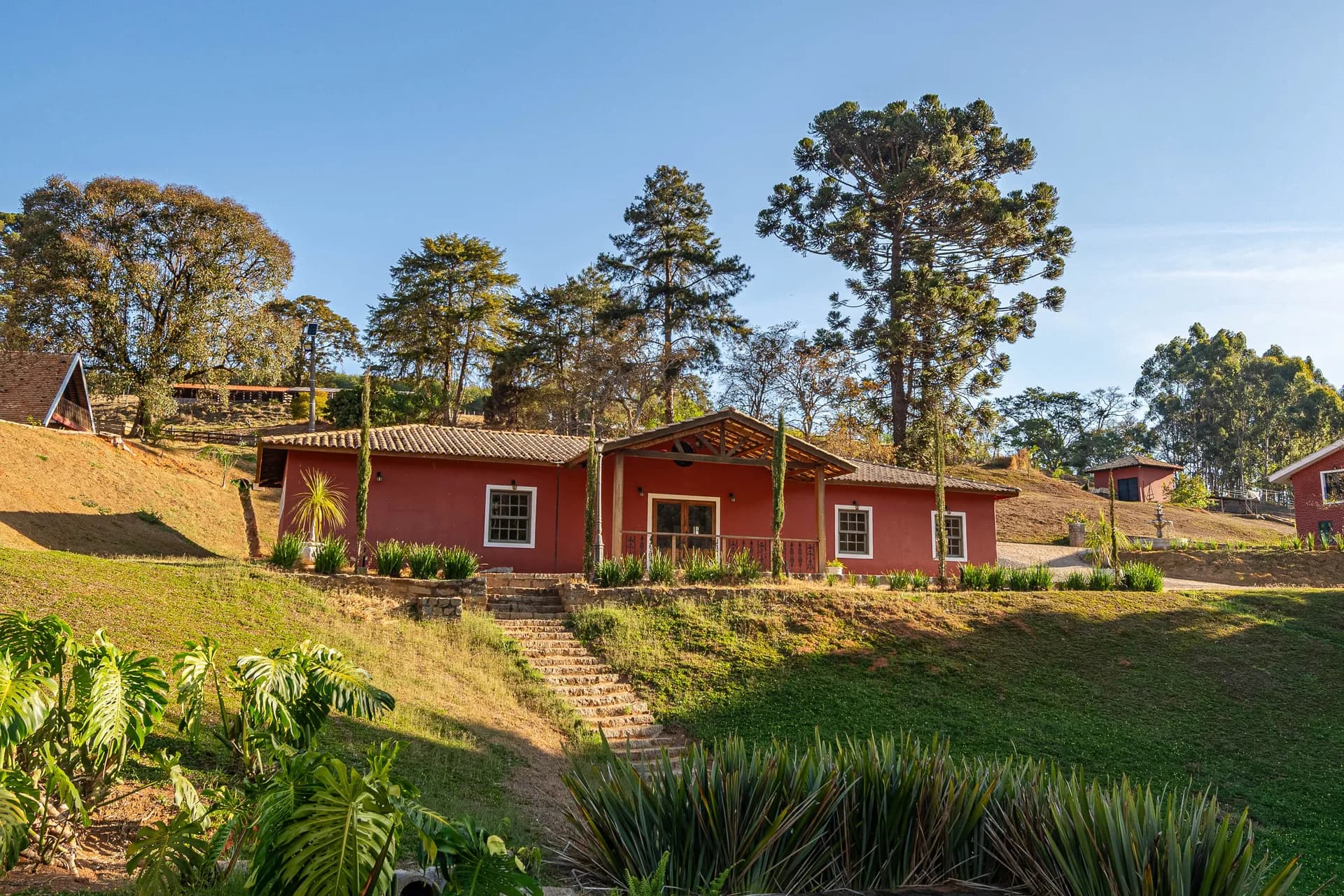 Fazenda Realeza — foto 2