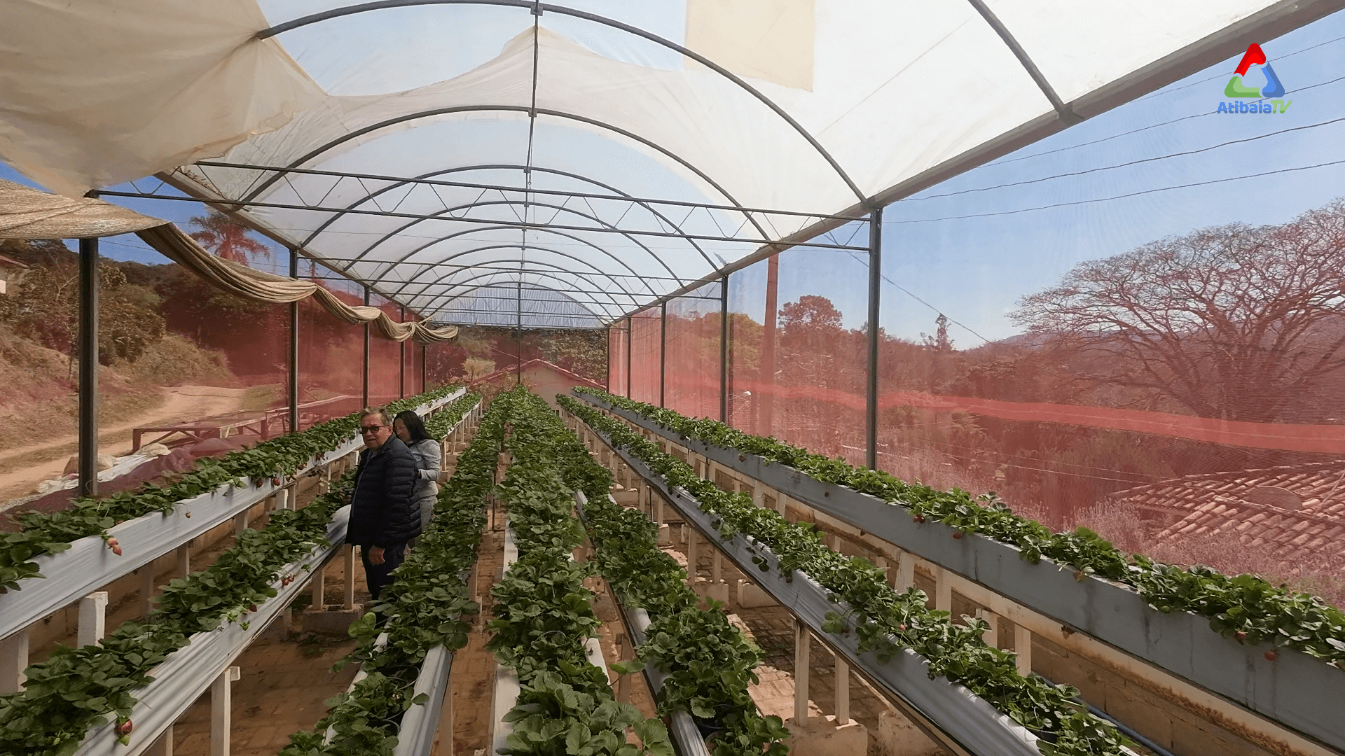 Orquidário Takebayashi — foto 7