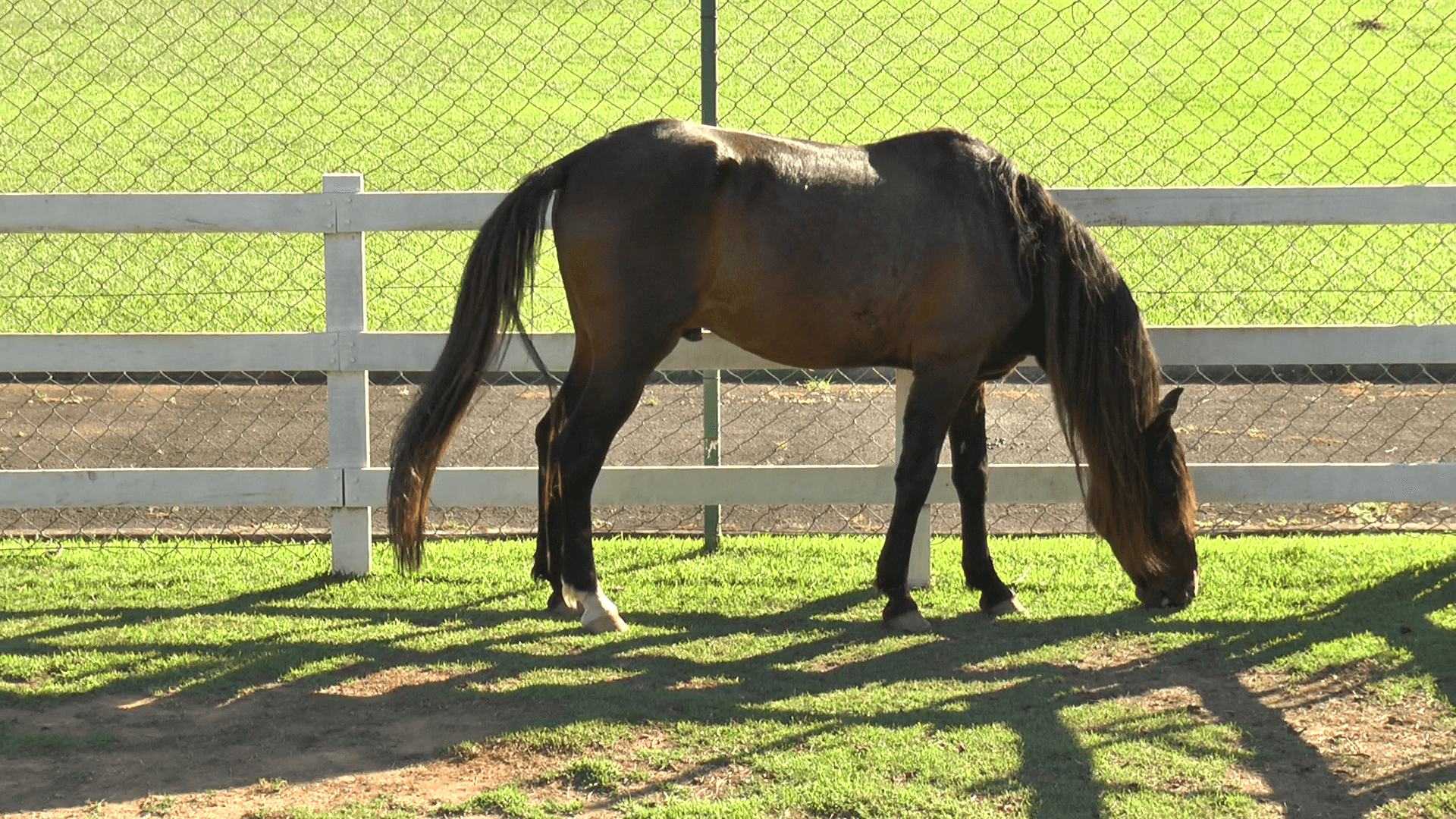 Hotel Estância Atibainha