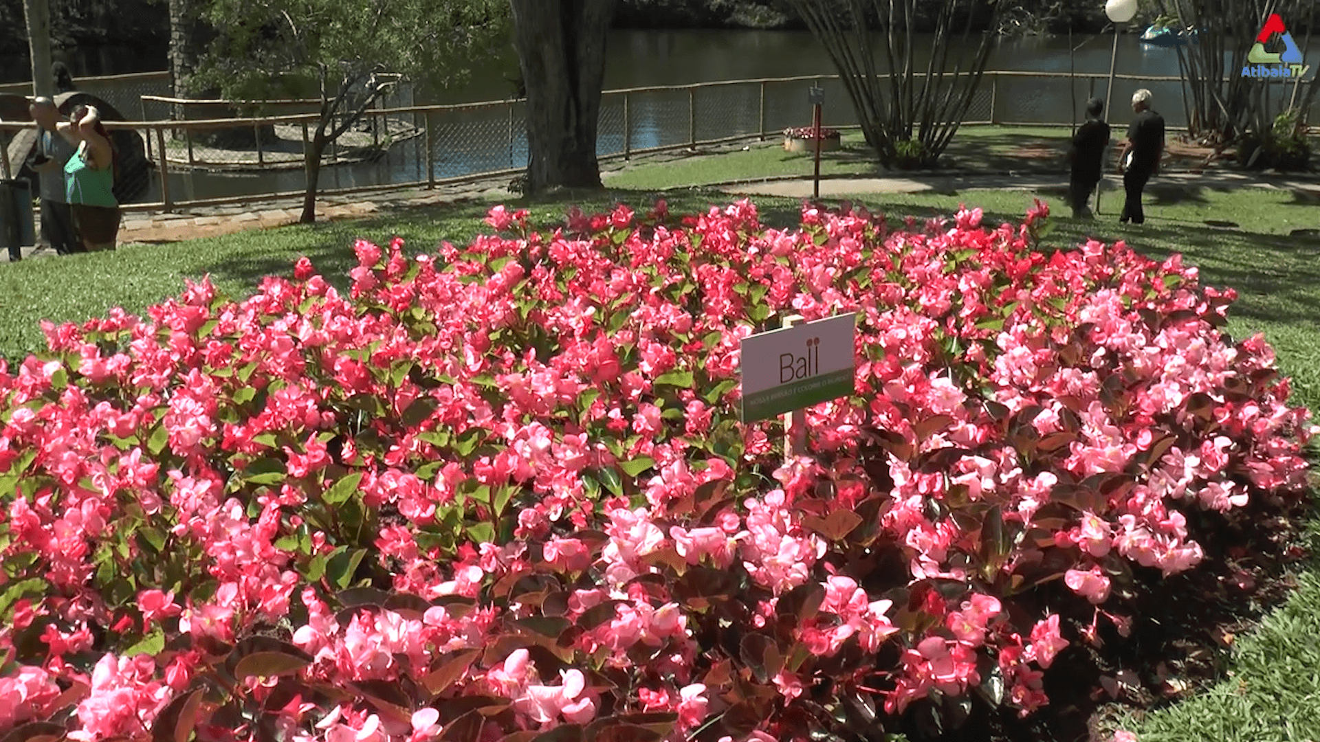 Parque Edmundo Zanoni — foto 5