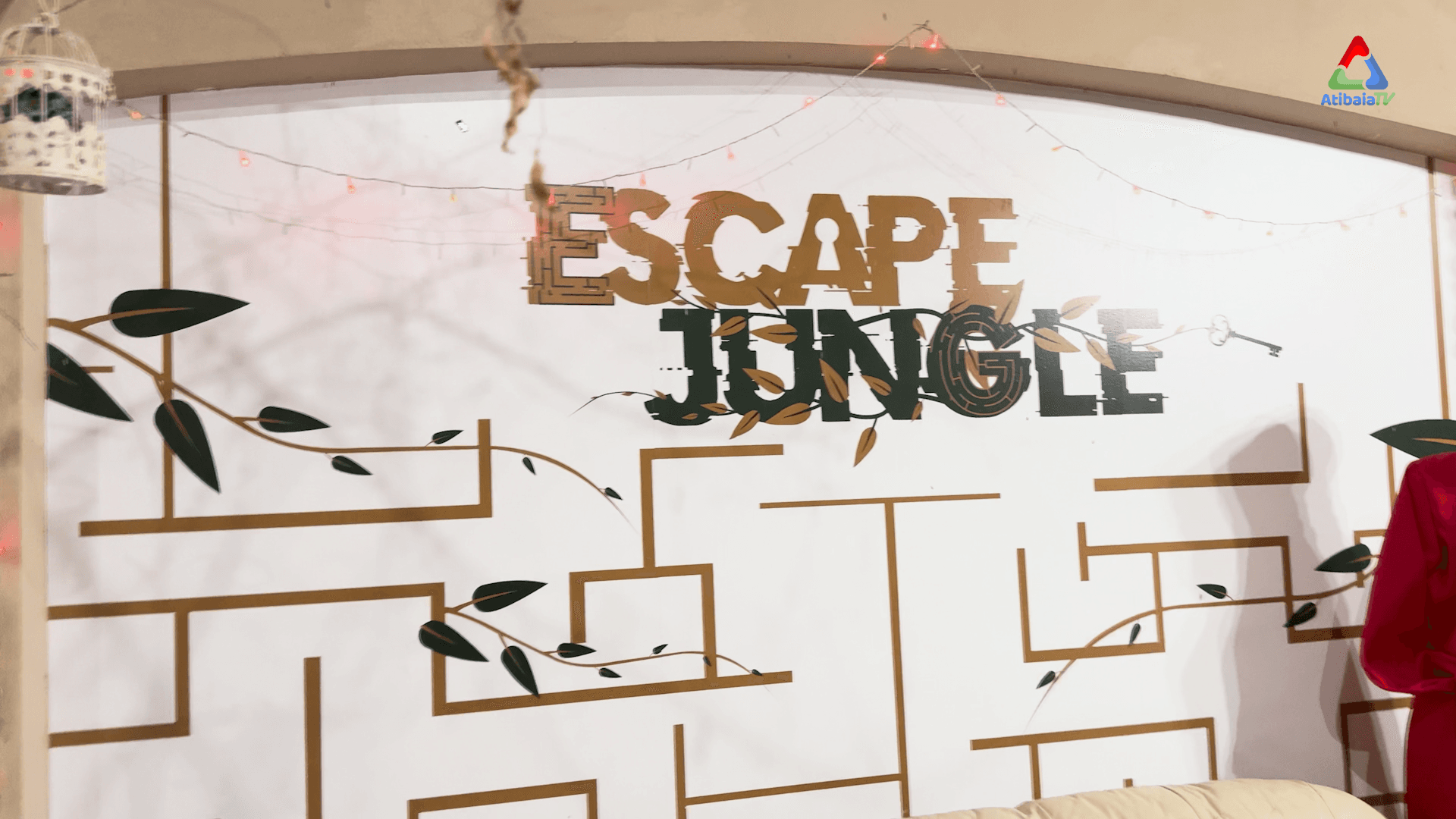 Escape Jungle
