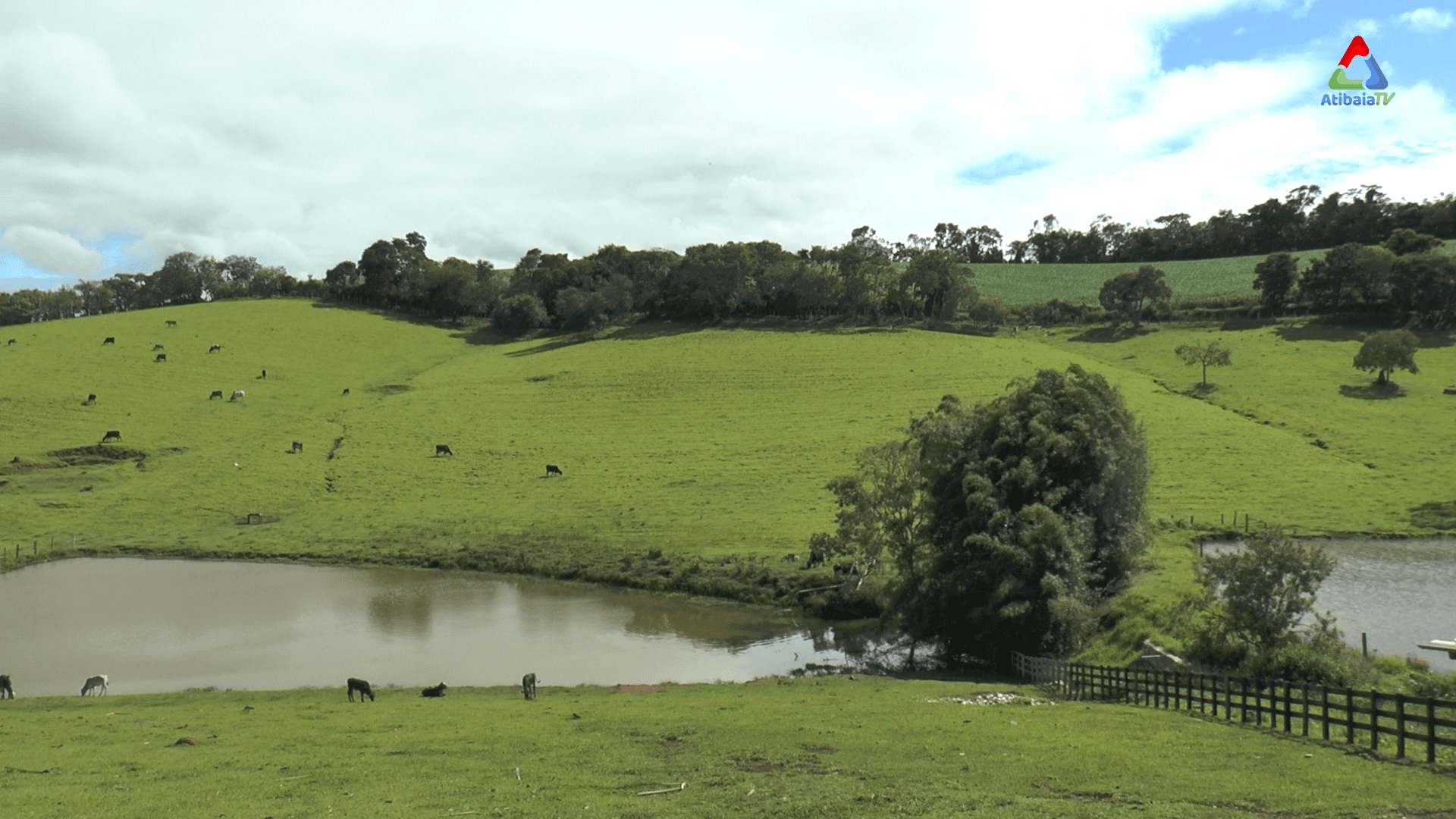 Pinhalzinho — foto 2