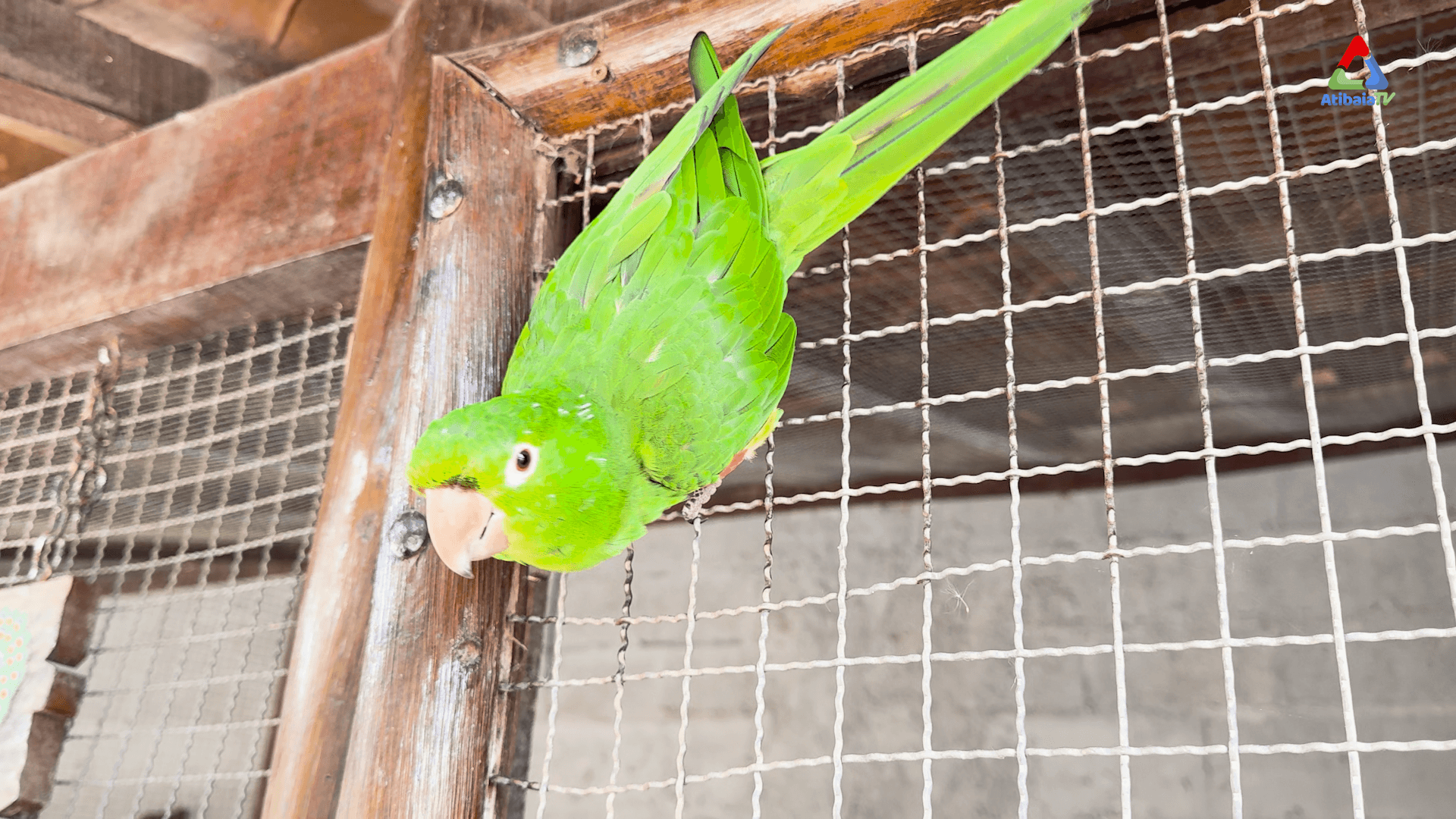 Park Hotel Modelo — foto 3