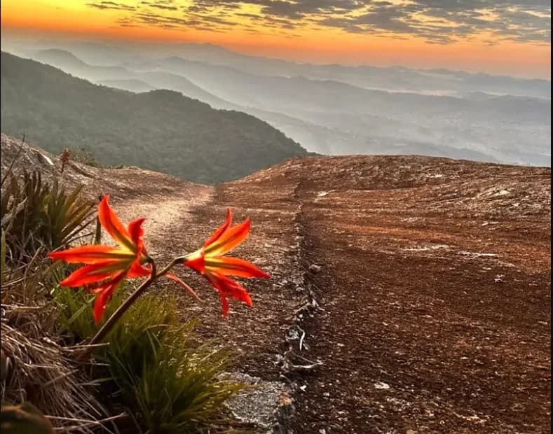 Pedra das Flores