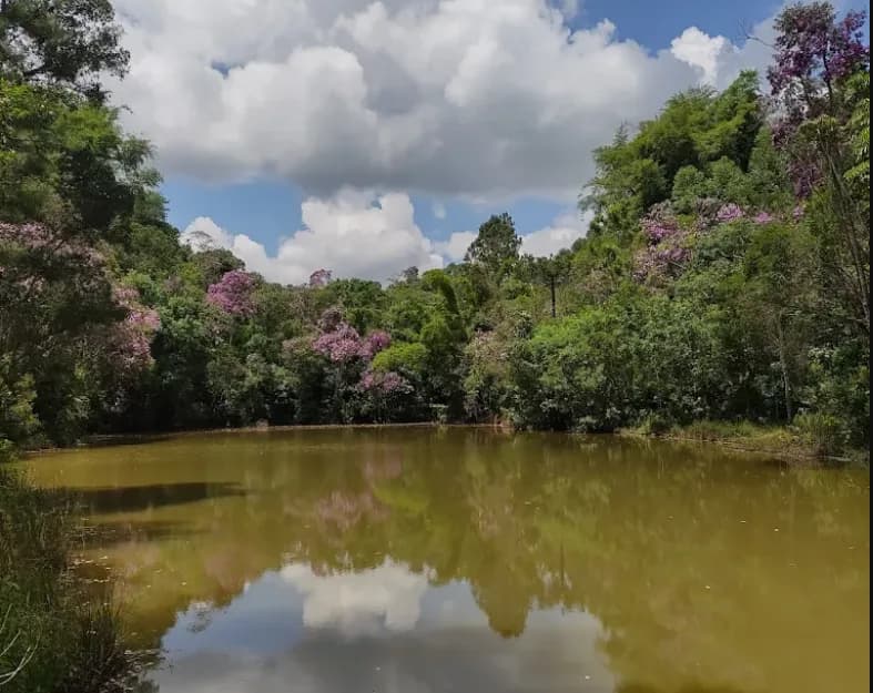 Parque Estadual Itaberaba