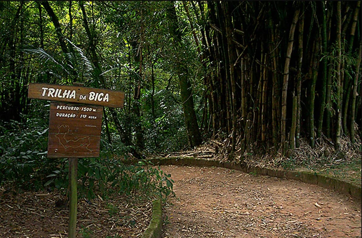 Parque Estadual da Cantareira