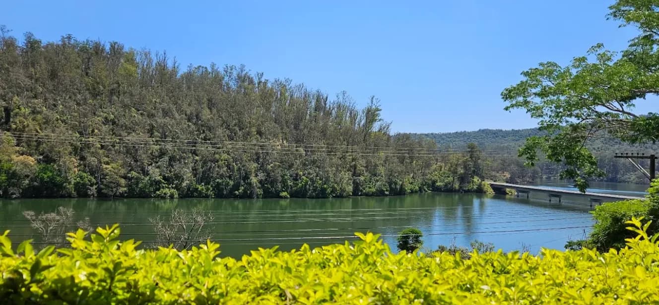 Portal do Peixe