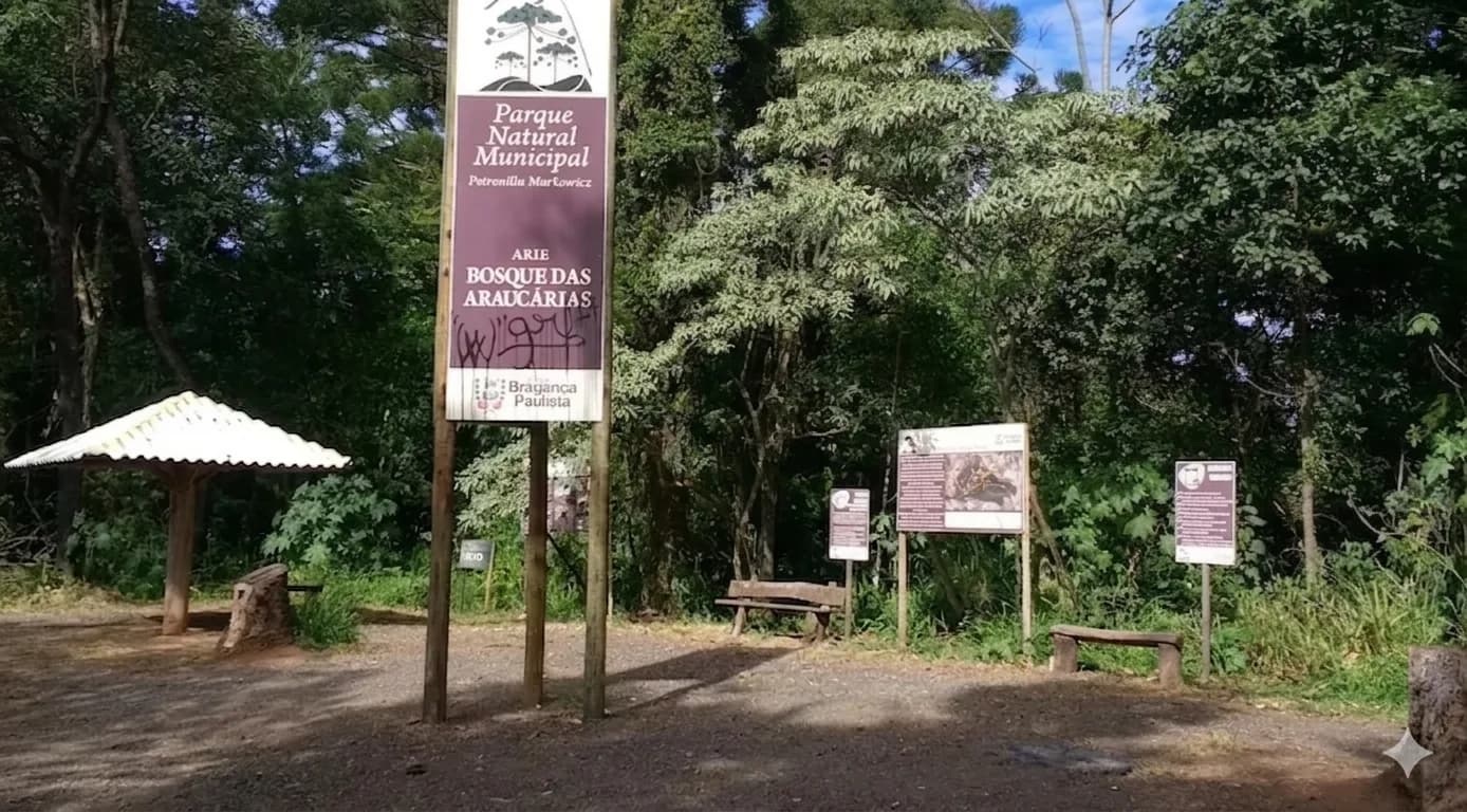 Bosque das Araucárias