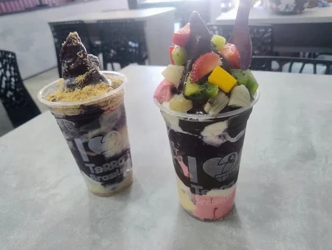 Terra Brasilis Açaí