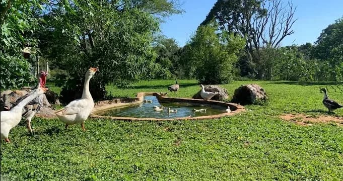 Guias de Turismo Ecológico Tuiuti — foto 1