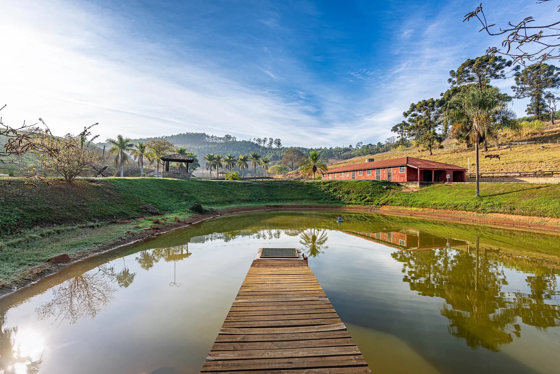 Fazenda Realeza — foto 4