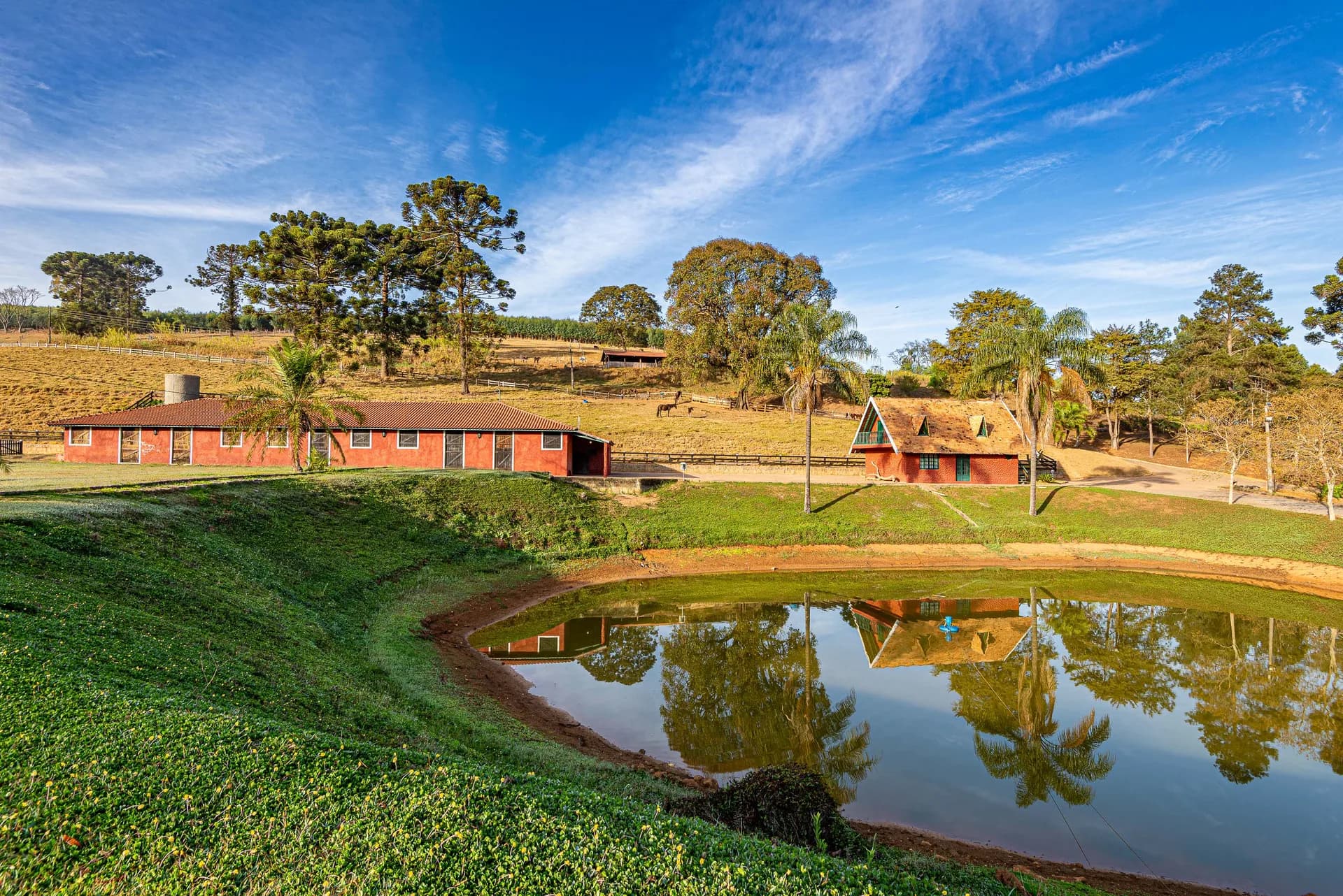 Fazenda Realeza — foto 5