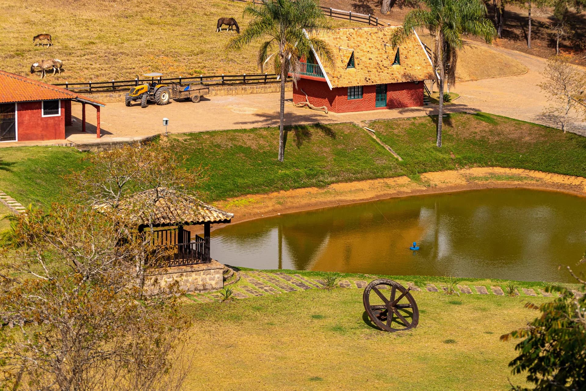 Fazenda Realeza — foto 6