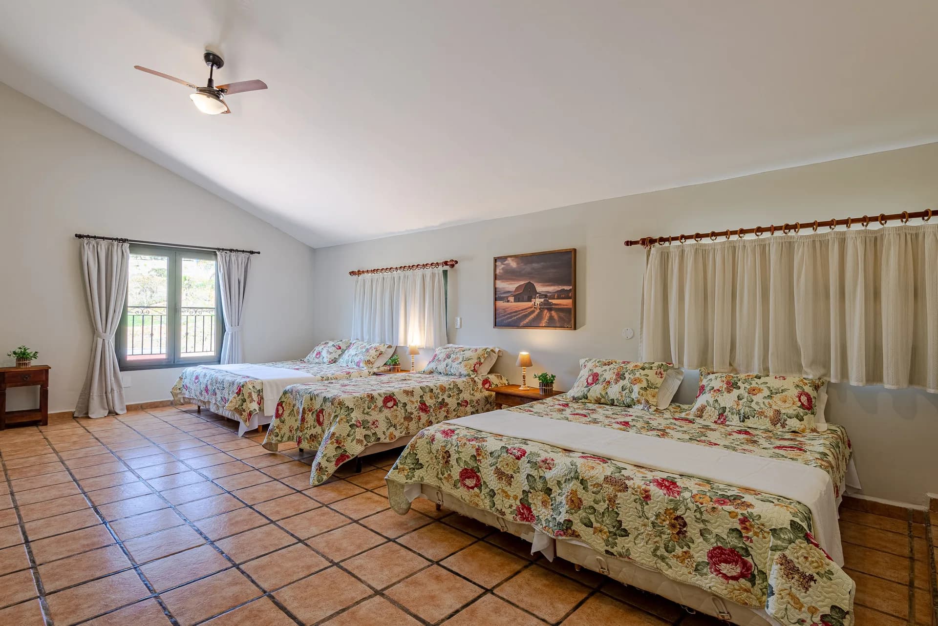 Fazenda Realeza — foto 29